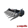Capello Quasar