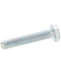 Hex Screw M10x55