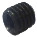 Grub Screw