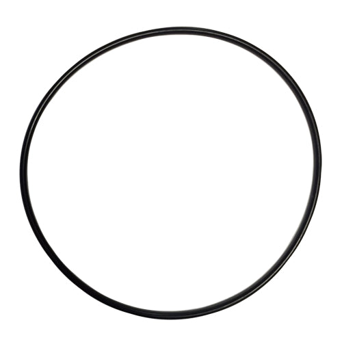 Rotor Plate O-Ring - 2nd Generation Only