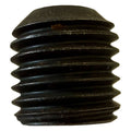 Set Screw, M8x1.0 Pitch by 8MM